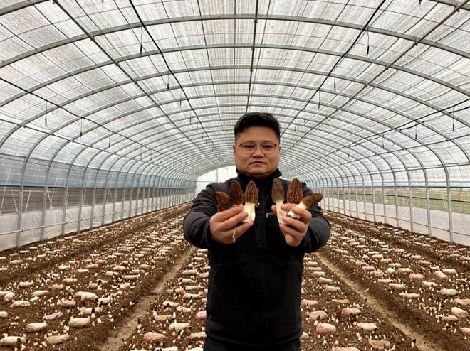 “返乡”情浓 “熊猫体育平台头雁”领飞——镇平县人才回归赋能乡村振兴剪影(图2)