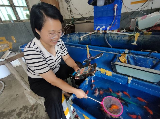 “返乡”情浓 “熊猫体育平台头雁”领飞——镇平县人才回归赋能乡村振兴剪影(图3)