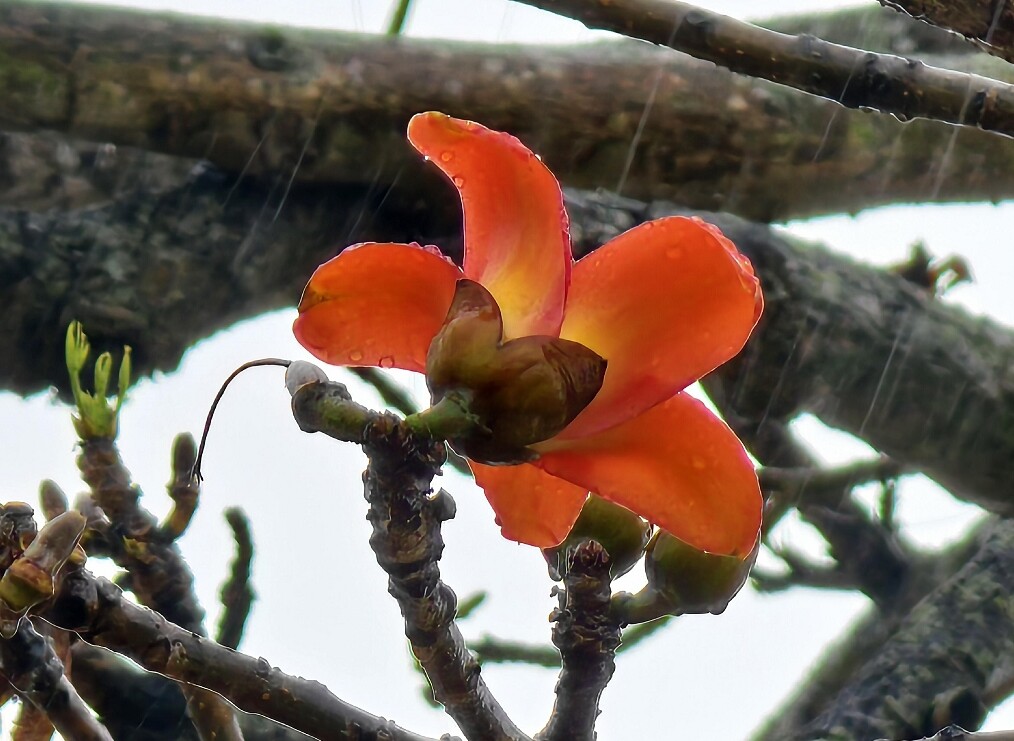 熊猫体育官网相·见｜2024年我们记得(图17)