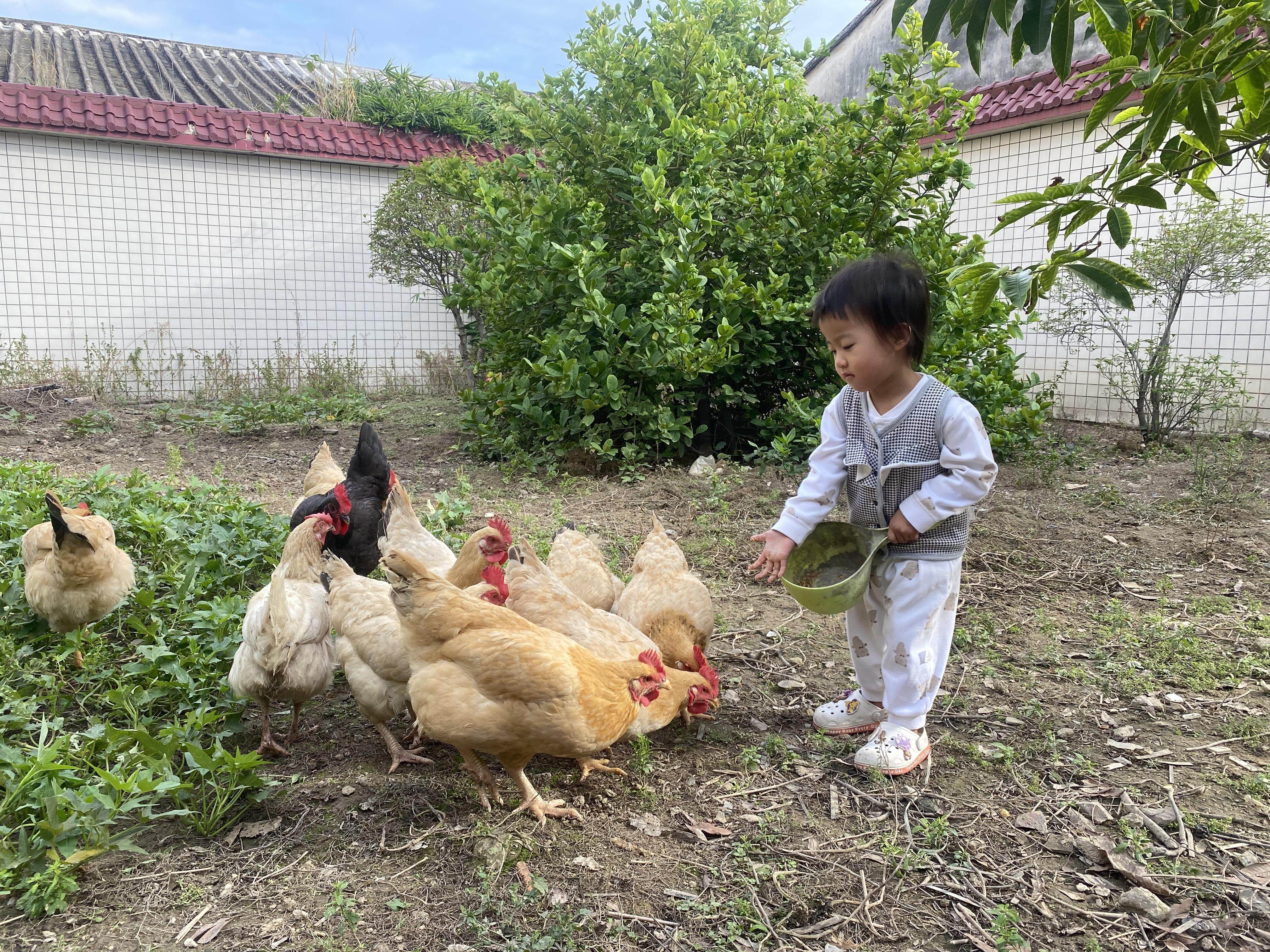 熊猫体育官网相·见｜2024年我们记得(图18)