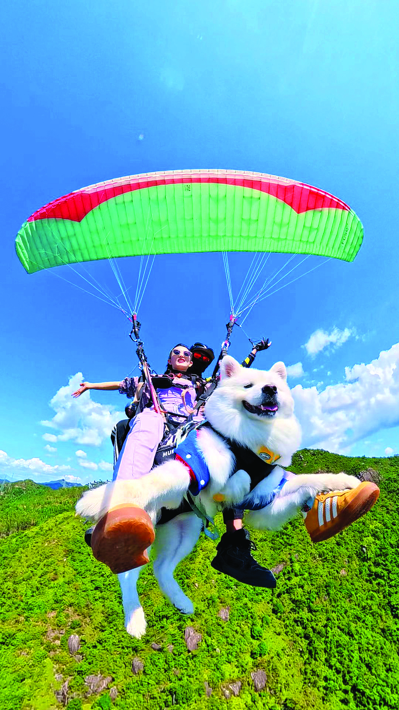 唐伟钟情巽寮湾!长弘户外“飞”出海洋文旅新体验(图1) 唐伟钟情巽寮湾!长弘户外“飞”出海洋文旅新体验(图1)